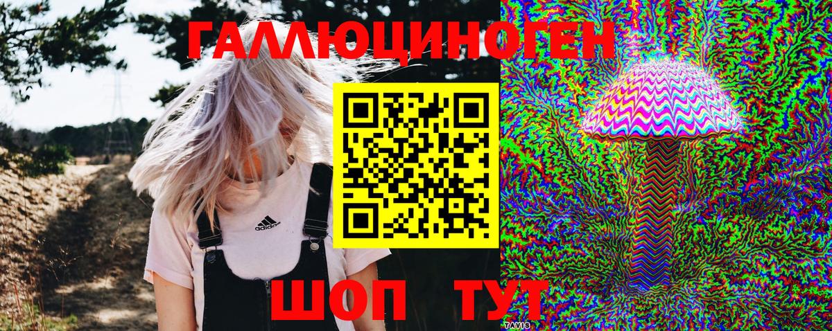 Галлюциногенные грибы Psilocybine cubensis Курчатов