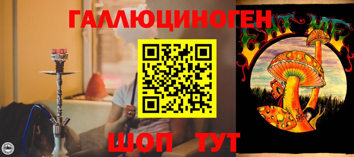 Галлюциногенные грибы Cubensis  наркота  Курчатов  Вход с VPN 